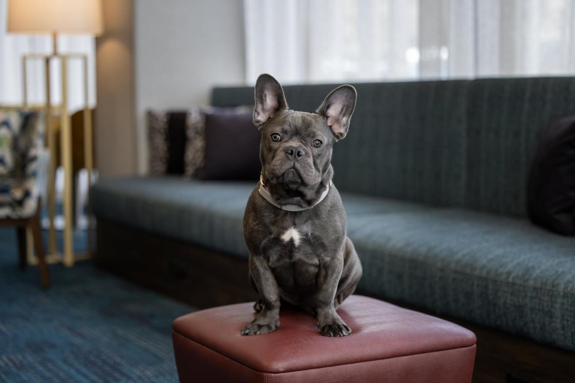 Hampton Inn Cleveland-Downtown Eksteriør billede